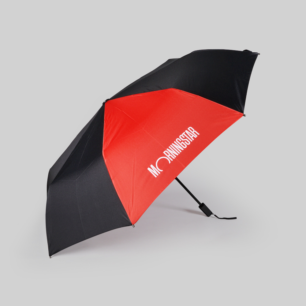 3 Foldable Umbrella